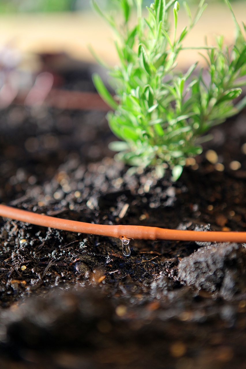 Picture of Vegetable Garden Drip Kit-6 in Spacing